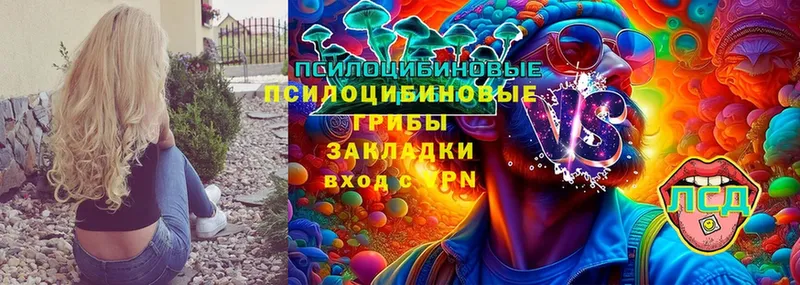 mega сайт  Абдулино  Галлюциногенные грибы Magic Shrooms 